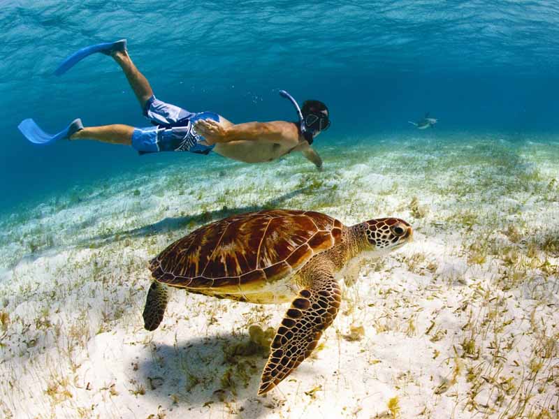 Snorkel Equipment; Always included - Pelagos Cruises - Watertoys